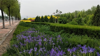 標題：張家口經(jīng)開(kāi)區秋季清水河生態(tài)綠廊建
瀏覽次數：2482
發(fā)表時(shí)間：2020-10-16