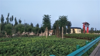 標題：張家口經(jīng)開(kāi)區腰站堡飲用水源地生態(tài)涵養綠化
瀏覽次數：2812
發(fā)表時(shí)間：2020-10-16