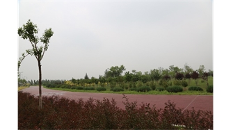 標題：大青山南坡生態(tài)修復
瀏覽次數：2291
發(fā)表時(shí)間：2020-10-16
