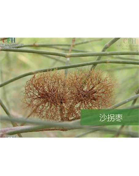 標題：名貴樹(shù)種
瀏覽次數：1709
發(fā)表時(shí)間：2020-10-17
