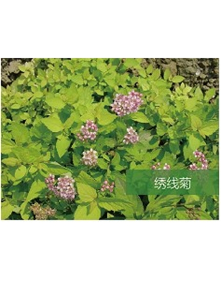 標題：?jiǎn)坦嗄?瀏覽次數：1704
發(fā)表時(shí)間：2020-10-17