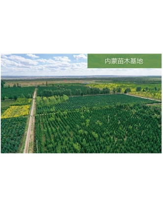標題：苗木基地
瀏覽次數：2153
發(fā)表時(shí)間：2020-10-17