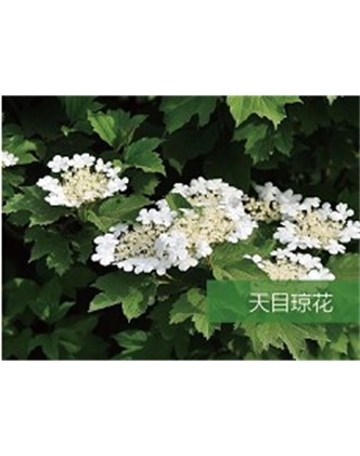 標題：?jiǎn)坦嗄?瀏覽次數：1689
發(fā)表時(shí)間：2020-10-17