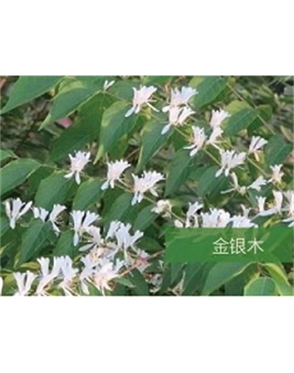 標題：?jiǎn)坦嗄?瀏覽次數：1611
發(fā)表時(shí)間：2020-10-17