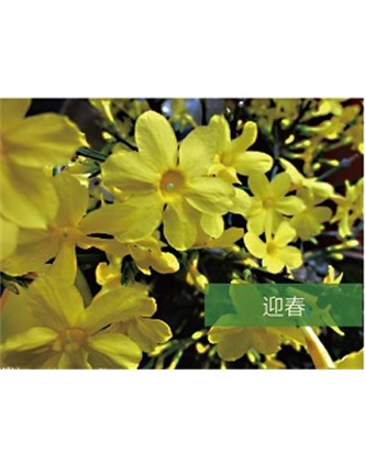 標題：?jiǎn)坦嗄?瀏覽次數：1531
發(fā)表時(shí)間：2020-10-17