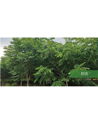 標題：?jiǎn)坦嗄?瀏覽次數：1590
發(fā)表時(shí)間：2020-10-17