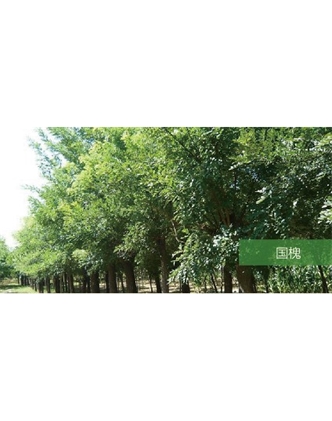 標題：?jiǎn)坦嗄?瀏覽次數：1770
發(fā)表時(shí)間：2020-10-17