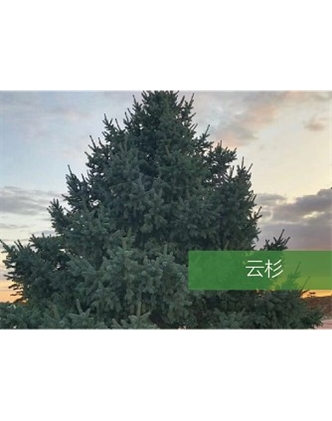 標題：?jiǎn)坦嗄?瀏覽次數：2337
發(fā)表時(shí)間：2020-10-17