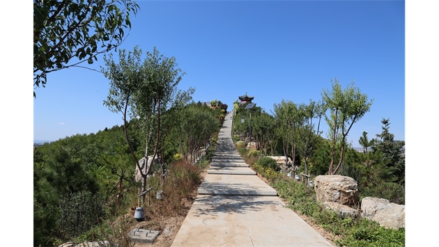 標題：張家口太子山山體修復
瀏覽次數：18553
發(fā)表時(shí)間：2020-11-12